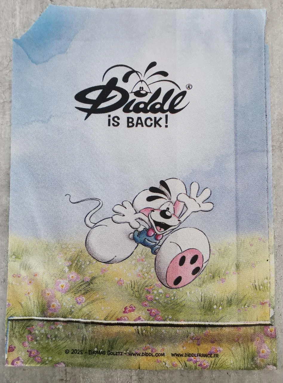 Bolsa Diddl is Back – photo 2